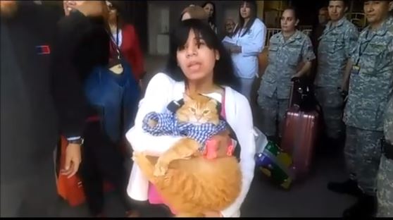 Mascota viajó junto a los 100 chilenos que retornaron al país desde Venezuela