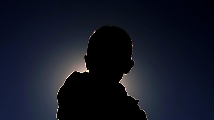 Investigan posible caso de rabia humana en niño de 6 años: fue mordido por un perro