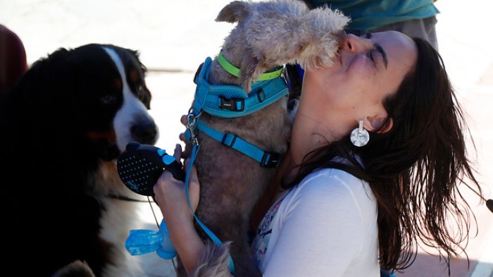 ¿Por qué las mujeres prefieren a sus mascotas que a sus hombres en la cama?