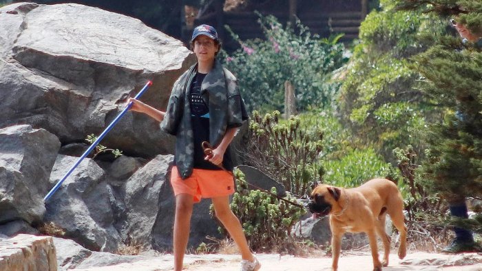 El mensaje de Máximo Menem en Instagram para agradecer el apoyo tras su operación cerebral