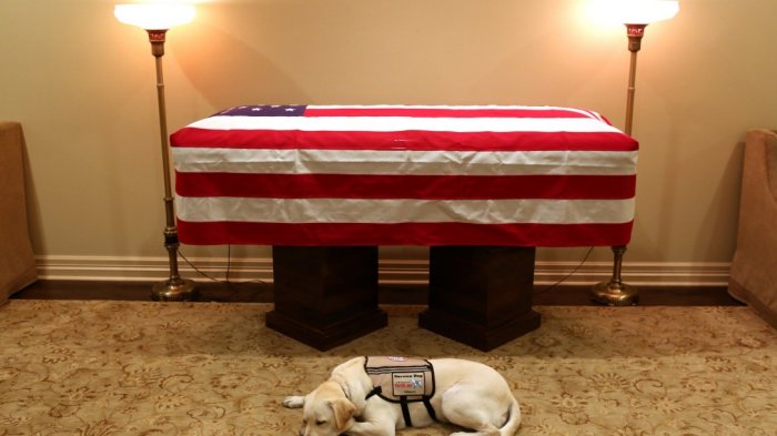 No se movió de su lado: Este es Sully, el perro fiel de George W.H. Bush que lo acompañó hasta el final