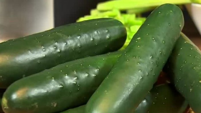 Hidrata y tiene solo 20 calorías: Las propiedades y beneficios del pepino de ensalada