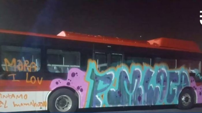 “Lo pintamos igual”: Bus eléctrico del Transantiago fue atacado por grafiteros antes que comenzara a circular