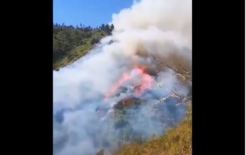 Se mantiene alerta roja en Valparaíso por incendios forestales