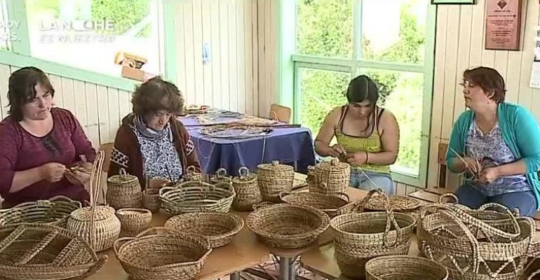 Los huasitos fueron en busca de las artesanías en fibra vegetal de Quinchao