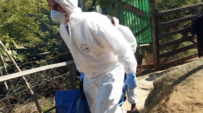 Llevaba un mes desaparecido: Encuentran a anciano descuartizado en La Serena