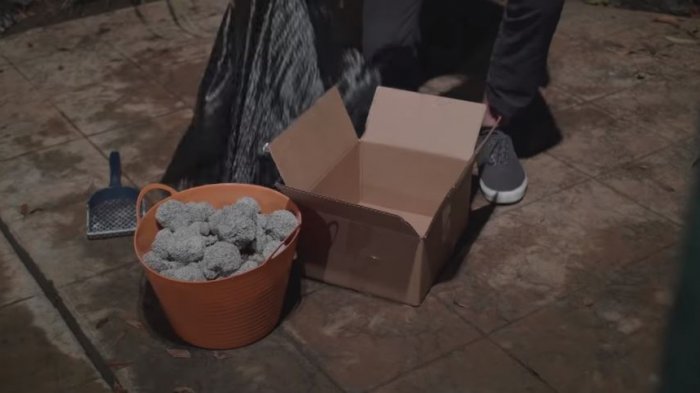 Con un paquete lleno de excremento de gato: Hombre se vengó de ladrones que lo tenían hasta la coronilla