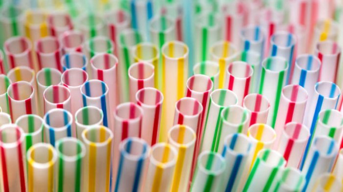 Adiós a las bombillas: Europa prohibirá la venta de artículos plásticos