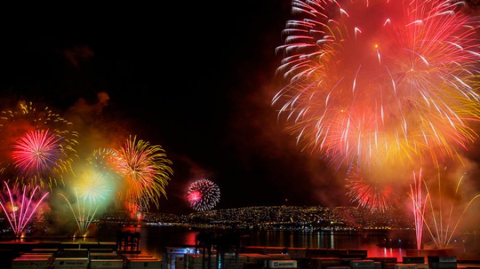La Florida suspende fuegos artificiales de Año Nuevo debido al peligro que genera en las mascotas