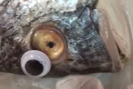 Les ponían ojos falsos para que parecieran frescos: Detienen a vendedores de pescado que engañaban a clientes