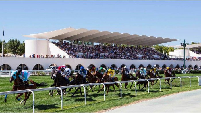 ¡Te pillamos comadre! El truco de una joven para beber en una carrera de caballos