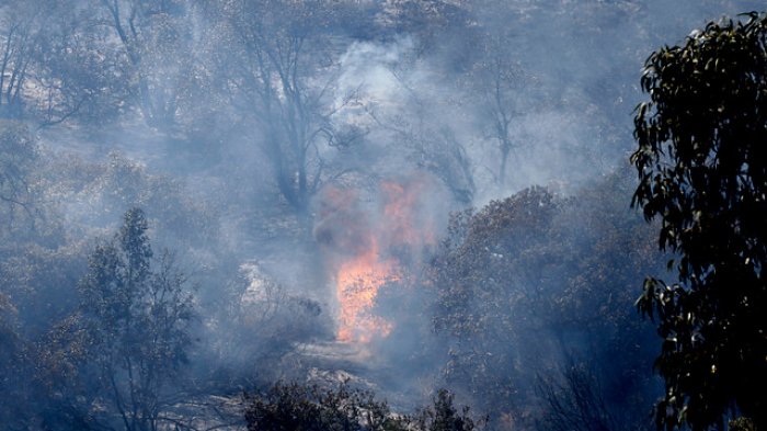 A propósito de los incendios forestales que afectan al país: ¿Por qué el viento es más intenso por las tardes?