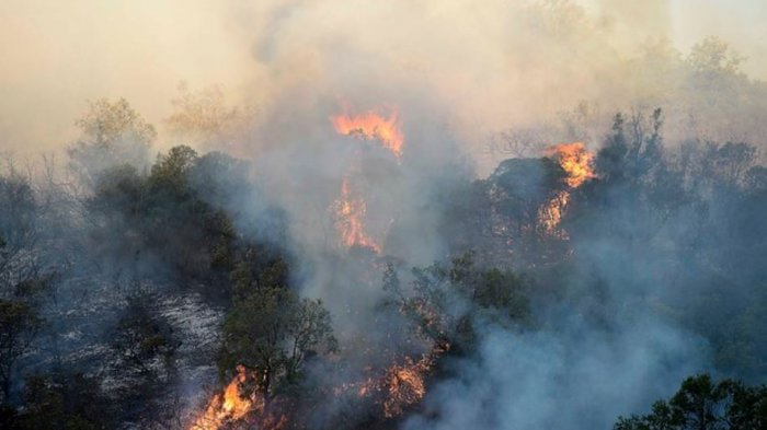 A 2 años de los incendios forestales más grandes del país: ¿Cuánto hemos aprendido?