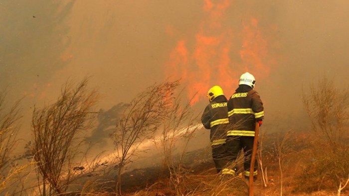 Video muestra cómo un grupo de jóvenes iniciaron incendio forestal en Curauma