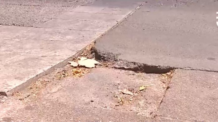 Veredas de país se encuentran en la UCI debido a su crítico estado de mantención