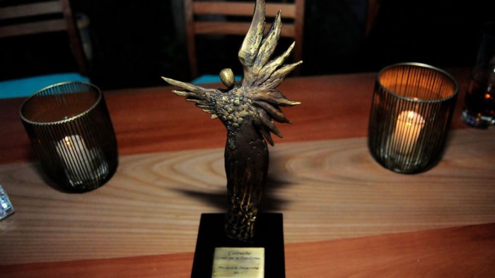 La lista completa de los nominados a los Premios Caleuche 2019