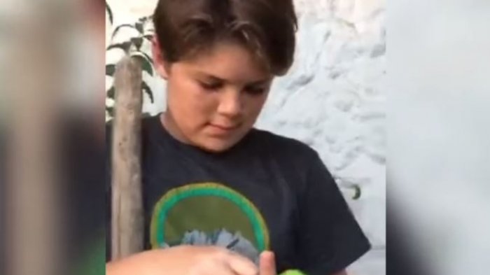 Para pasar las penas: Dueño de Chimuelo recibió una nueva mascota de regalo