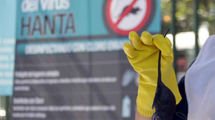 ¿Se puede contagiar el virus hanta entre humanos?