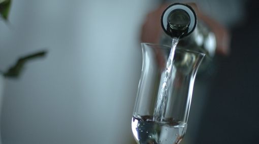 El pisco es peruano: Chile perdió denominación de origen en la India