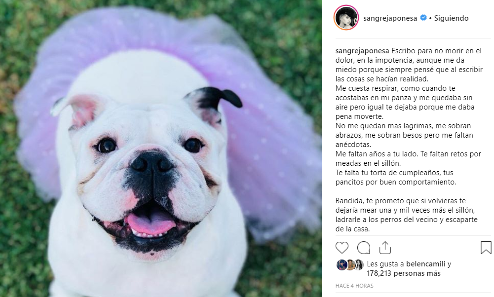 Imagen foto_00000001