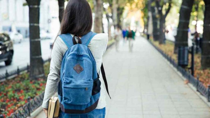 La intensa búsqueda de una estudiante de Concepción: Perdió mochila con todo el material de su tesis