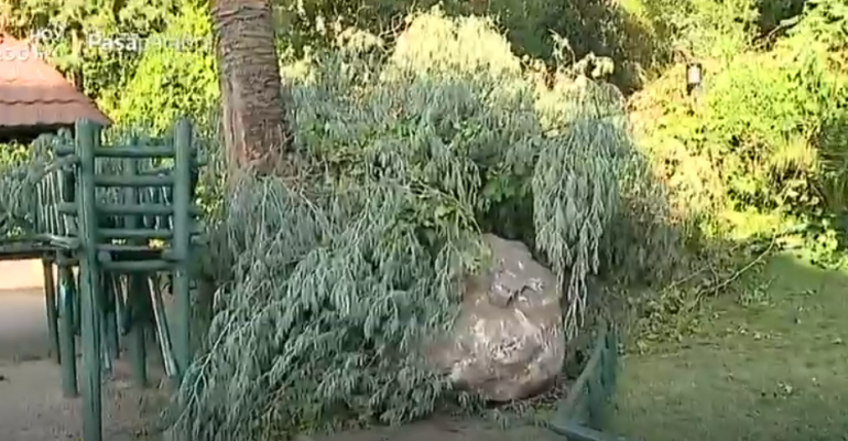 Roca gigante cayó en medio de condominio desde el Cerro San Cristóbal