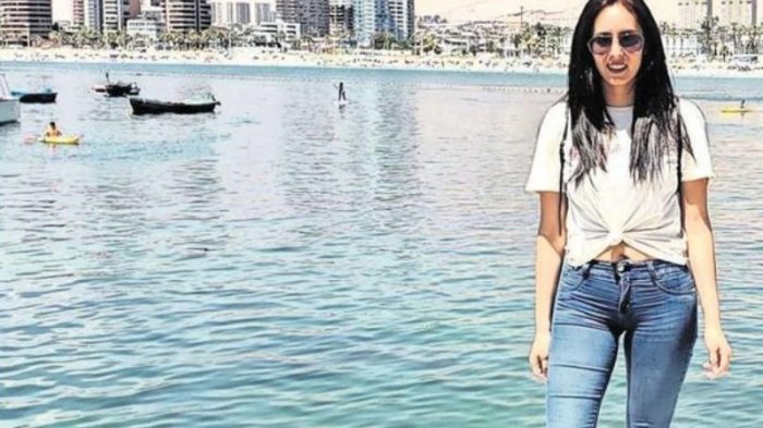 Chilena que vacacionaba en Brasil murió tras haber sido picada por un insecto