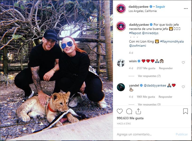 Imagen foto_00000015