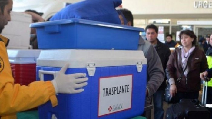 Senado aprueba nueva normativa que incentiva la donación de órganos en Chile