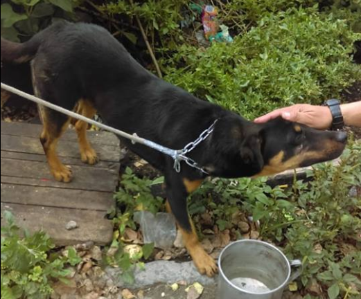 Imagen foto_00000016