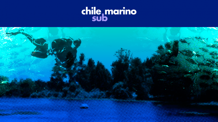 De Iquique a la Antártica: 6 fantásticos lugares para bucear en Chile