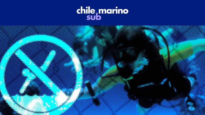 Embarazadas, fumadores y personas con cirugías pueden poner en peligro su salud si deciden bucear