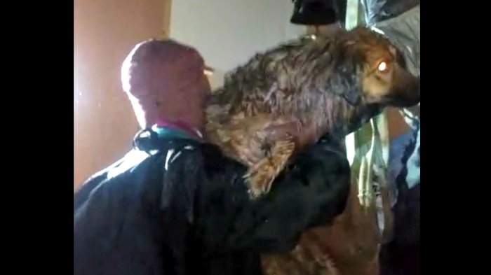 Vecinos rescataron a una familia y su perrita en medio de las inundaciones en San Pedro de Atacama