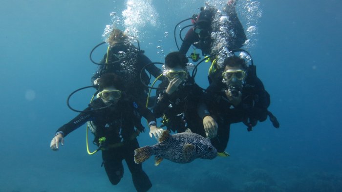Las Torpederas, Juan Fernández e Isla de Pascua: Las mejores imágenes del Chile Submarino que recibimos en CHV Noticias