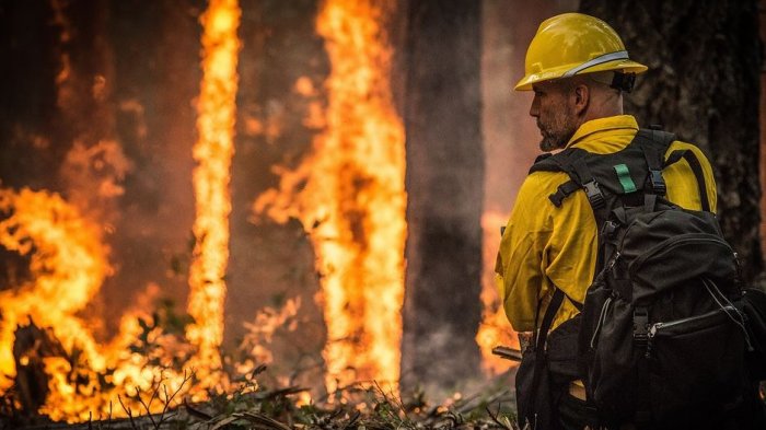 Alerta roja en la provincia de Cautín por 27 incendios forestales activos