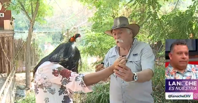 Pamela Díaz y el Profesor Rossa recorrieron el Buin Zoo