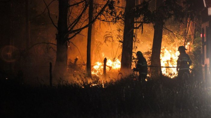 Mega incendios en el sur de Chile han dejado 2 muertos y 3.200 hectáreas destruidas