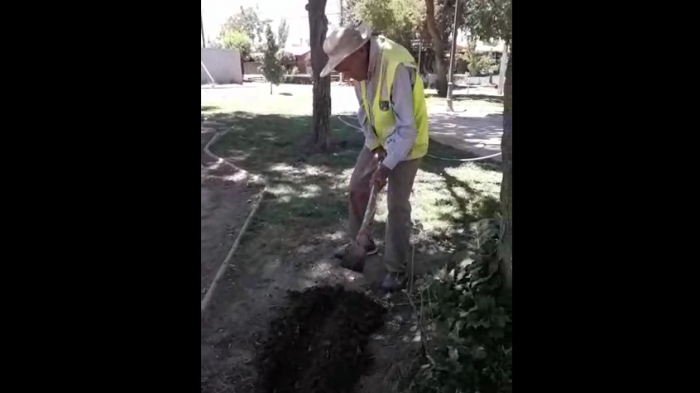 El caso de Manuel Parra, el abuelito de 100 años que sigue trabajando pese a su edad