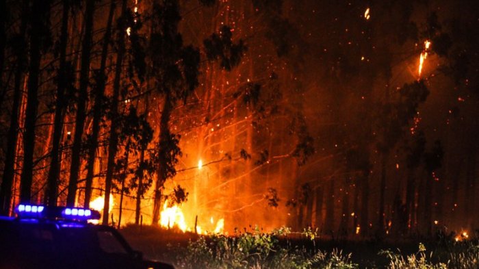 Incendios en el sur: ¿En qué consiste el “estado de excepción constitucional” decretado para 3 regiones?