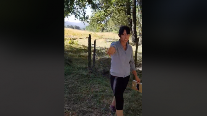 Como Pérez Cruz en Lago Ranco: Denuncian que mujer no les permitió entrar en auto al Lago Colico 