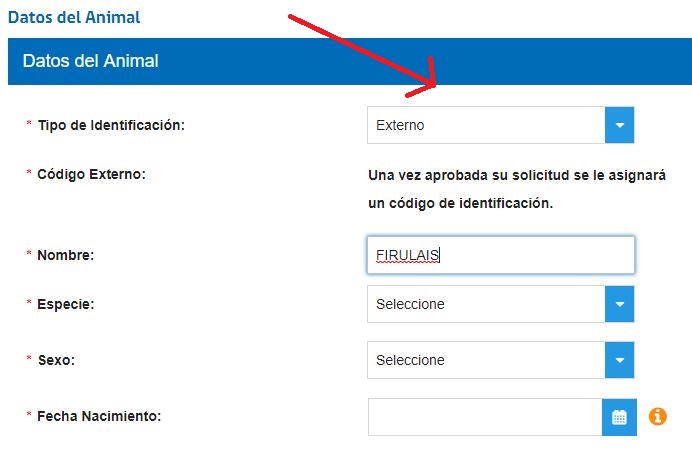 Imagen foto_00000015