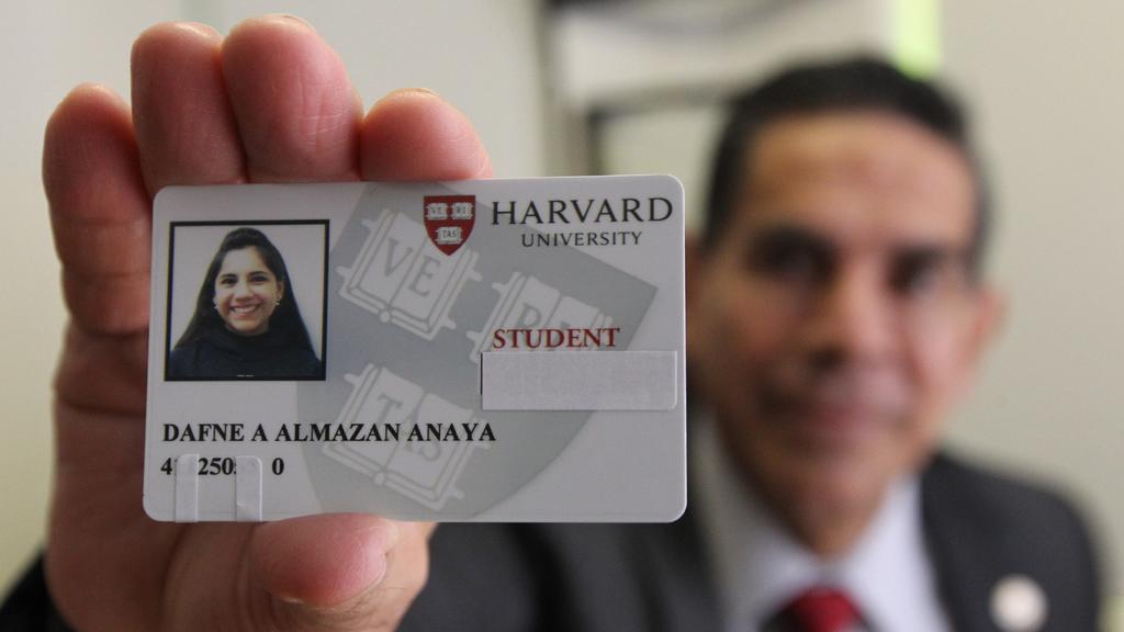 Imagen foto_00000015