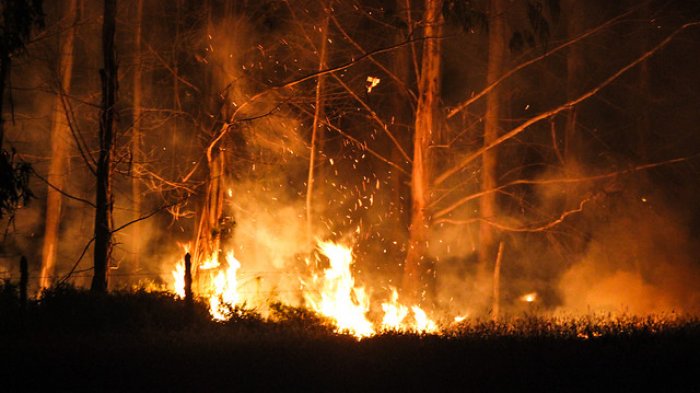 Se han registrado 86 incendios forestales entre la región Metropolitana y la de Aysén