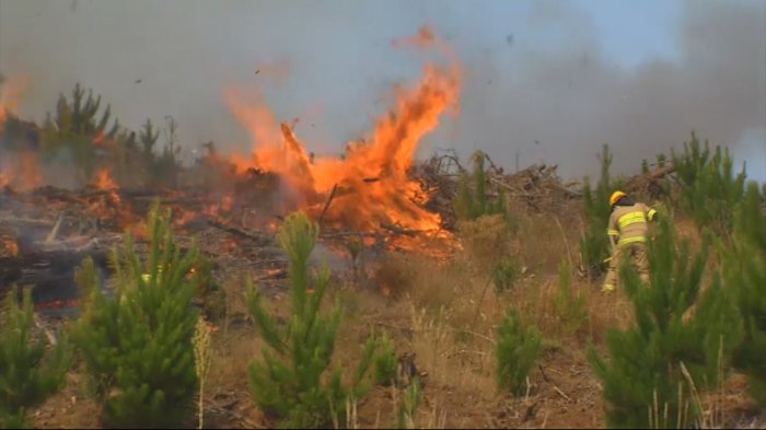 Viento Puelche: El desconocido fenómeno que ayuda a la propagación de incendios forestales