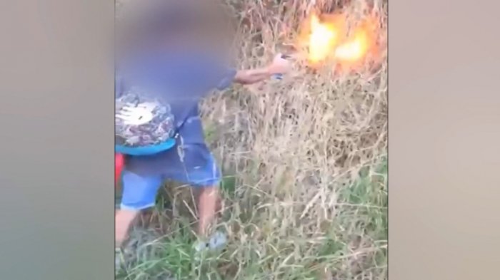 Video muestra cómo jóvenes habrían provocado incendio forestal en Coronel