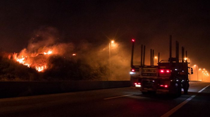 El sur de Chile sigue en alerta por incendios forestales: 5 focos 