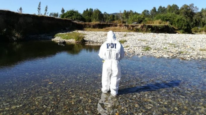 Joven de 19 años apareció flotando en río de Osorno: Se trataría de un femicidio
