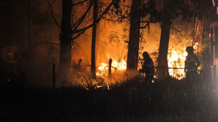 31 incendios están activos en el país: La Araucanía es la región más afectada y Aysén enfrenta su peor catástrofe forestal