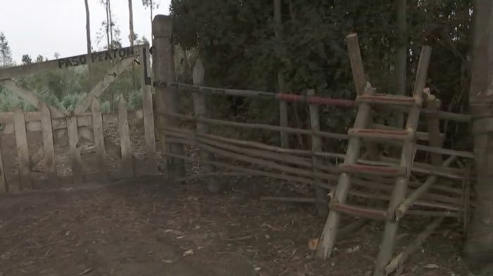 Una escalera de madera sobre un cerco: La respuesta de los dueños de fundo que impiden acceso a playa en O'Higgins