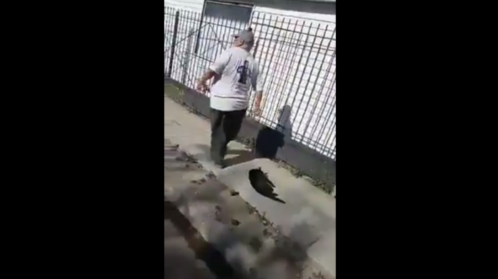 Maltrato animal: Hombre arrastra del cuello a un gato provocándole ahorcamiento y amenaza con golpear al denunciante